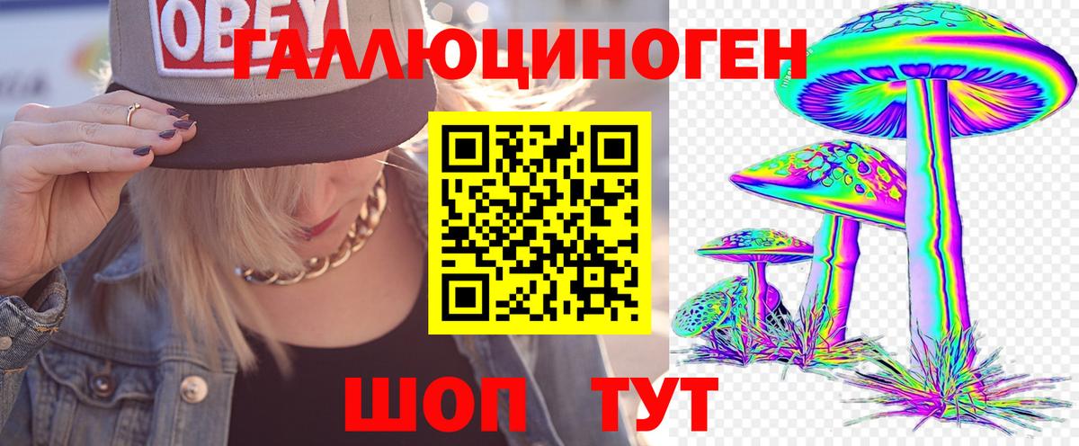 Галлюциногенные грибы прущие грибы  Вход с VPN  Пушкино 